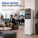 Fuente dispensador de agua con filtración FONPUR