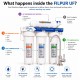 Sistema de Filtrado de agua para casa por Ultrafiltración UF sin rechazo de 5 etapas